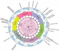 Indian calendar in detail