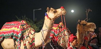 Pushkar Fair